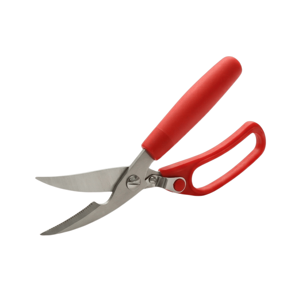 Poultry Scissors