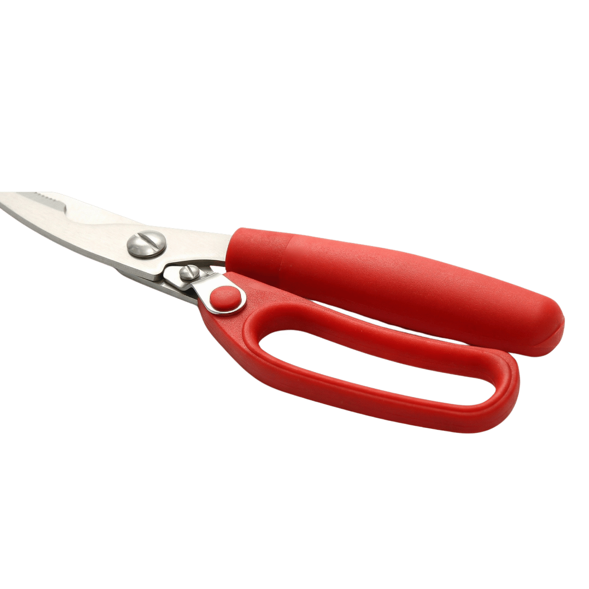 Poultry Scissors